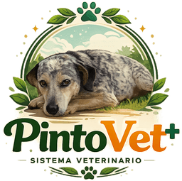 Pintovet